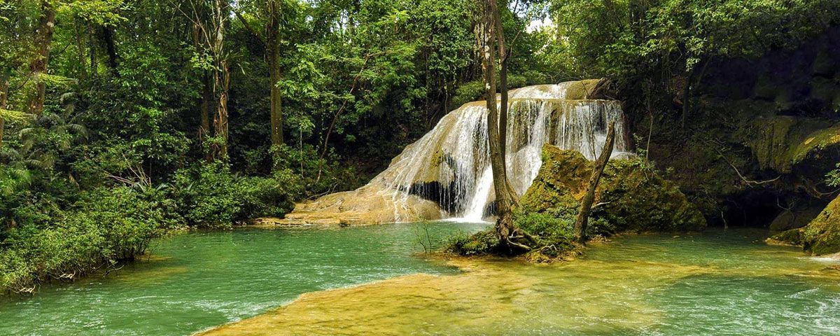 Expertos analizan situación del dengue en Chiapas