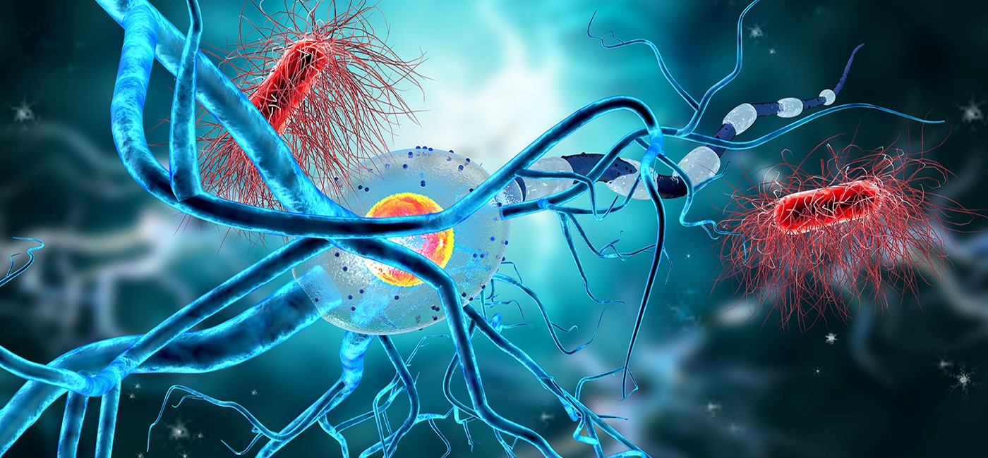 distrofia muscular de Duchenne, terapia génica