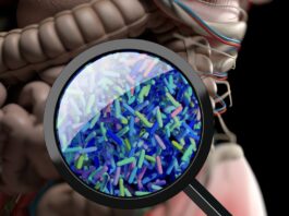 Microbioma intestinal-salud-enfermedades raras