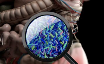 Microbioma intestinal-salud-enfermedades raras