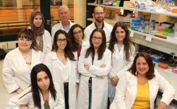 enfermedades neurodegenerativas