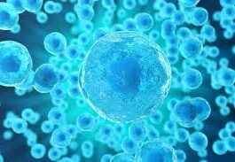 Cáncer pulmón células pequeñas