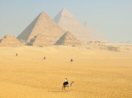 Egipto y Huntington