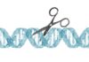 ensayo clínico, pacientes, tecnología CRISPR, genoma