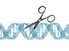 ensayo clínico, pacientes, tecnología CRISPR, genoma