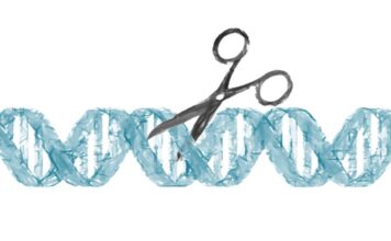ensayo clínico, pacientes, tecnología CRISPR, genoma