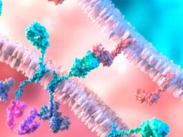 terapia CAR-T, cáncer cerebral