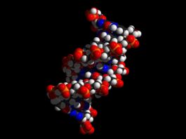 angioedema hereditario