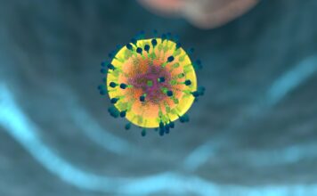 Esclerosis múltiple, células T