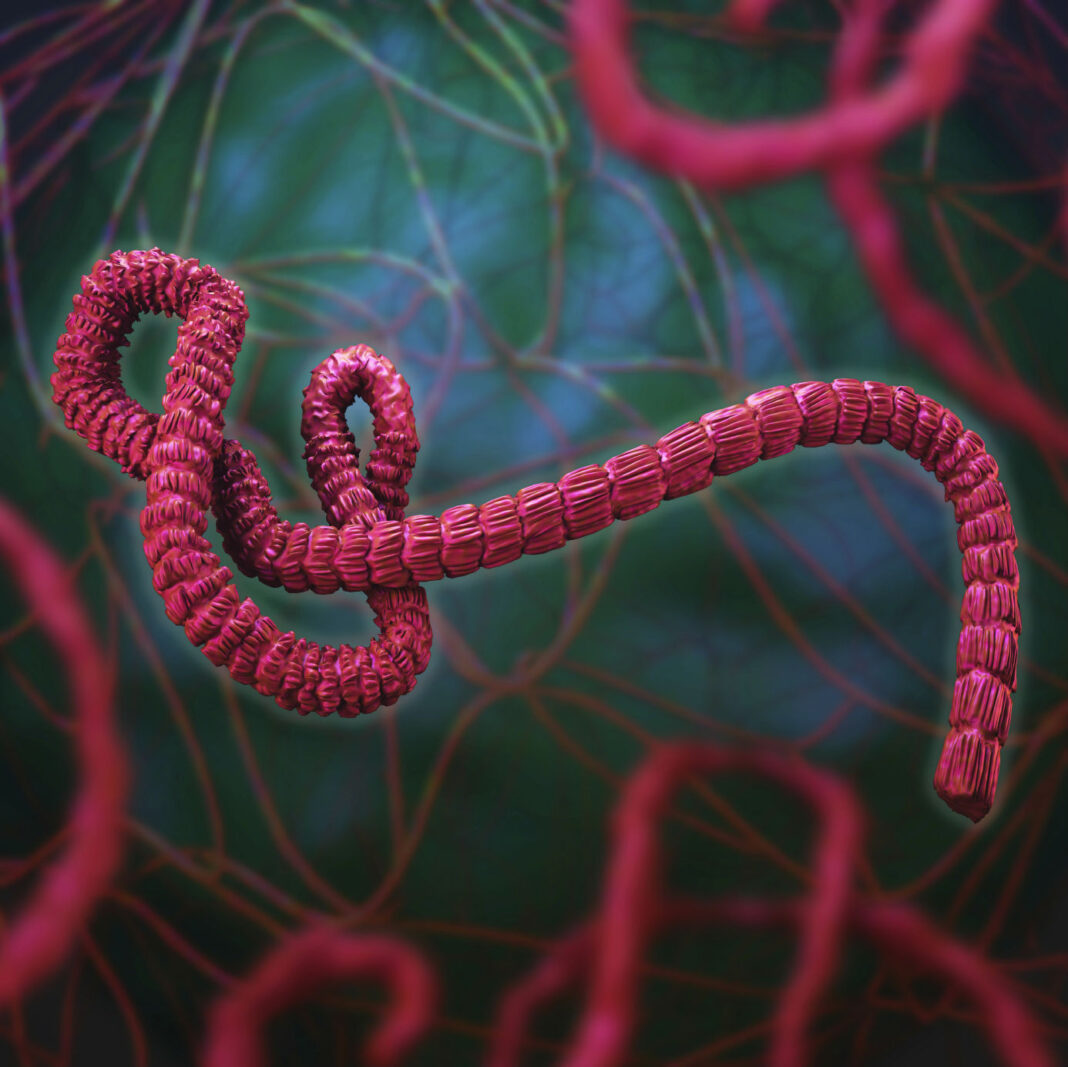 Ébola, vacuna, OMS