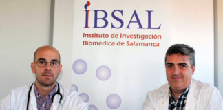 Investigadores Ibsal