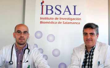 Investigadores Ibsal