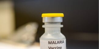 Vacuna RTS,S malaria