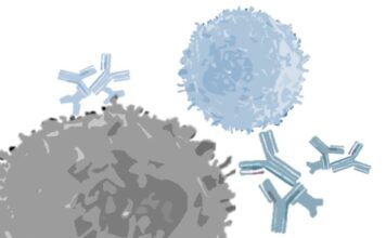 Terapia inmunogénica