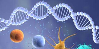 Inmunoterapia anticuerpos cáncer