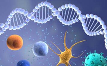 Inmunoterapia anticuerpos cáncer