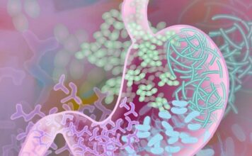 microbioma intestinal, esclerosis múltiple