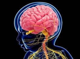 cáncer cerebral pediátrico