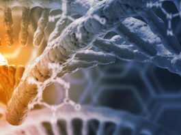 esclerodermia, factores genéticos y ambientales