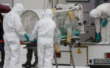 Fiebre hemorragica brasileña