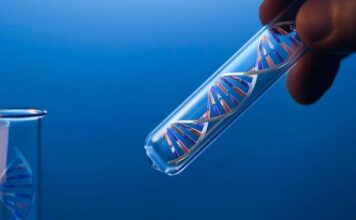 terapia génica, esclerosis lateral amiotrófica