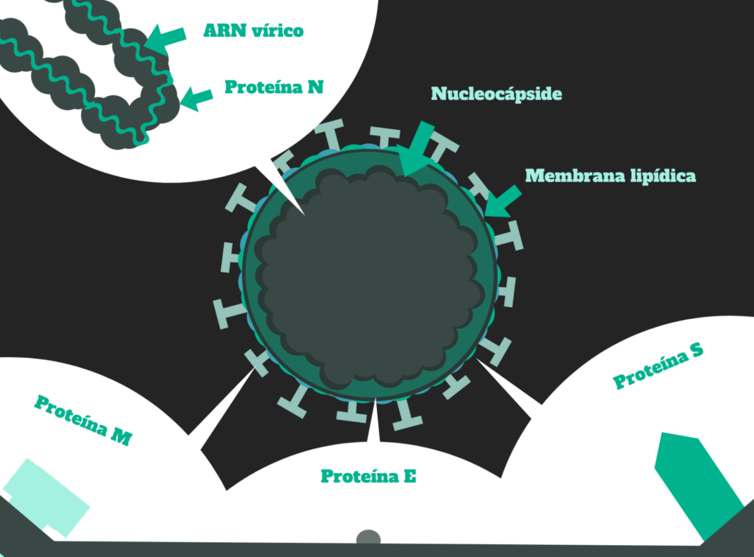 coronavirus de Wuhan