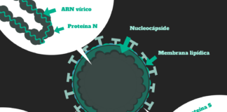 coronavirus de Wuhan