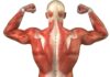 Distrofia facioescapulohumeral, medicamento huérfano