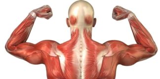 Distrofia facioescapulohumeral, medicamento huérfano