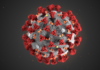 coronavirus, covid-19, estrategias terapéuticas