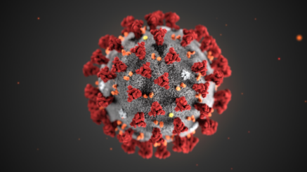 estructura, genoma del coronavirus de Wuhan