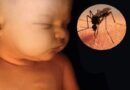 Neurodesarrollo en bebés por Zica