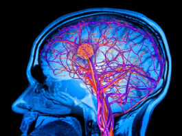 trastornos metabólicos hereditarios, eerr