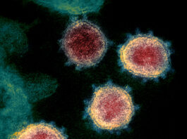 genoma completo, coronavirus, covid-19