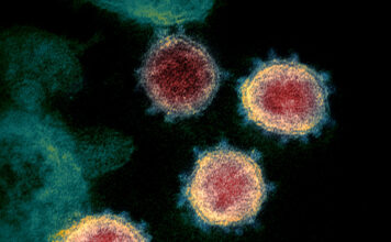 genoma completo, coronavirus, covid-19