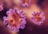 células Tregs, cáncer, enfermedades autoinmunes