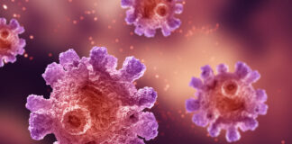 células Tregs, cáncer, enfermedades autoinmunes