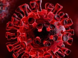 Covid-19, enfermedad de Kawasaki, paciente pediátrico