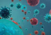 coronavirus, células humanas