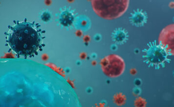 coronavirus, células humanas