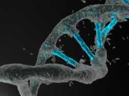 CRISPR, luz, precisión y velocidad, edición genes