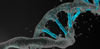 CRISPR, luz, precisión y velocidad, edición genes