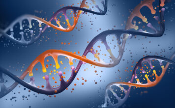 CSL Behring, terapia Pipiline génica- tratamiento, hemofilia B