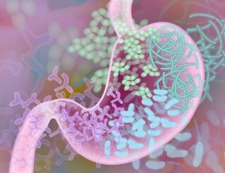 El estudio identificado polimorfismos genéticos relacionados con cambios en en la microbiota intestinal que presentan las personas con enfermedad celiaca. Imagen: Darryl Leja, National Human Genome Research Institute, National Institutes of Health.