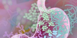 NIH microbioma intestinal, enfermedad celíaca