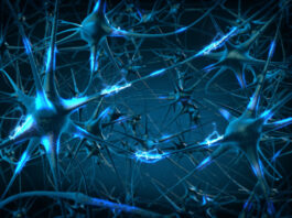 ataxia de Friedreich, tratamiento, CIBERER