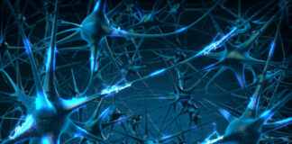 ataxia de Friedreich, tratamiento, CIBERER