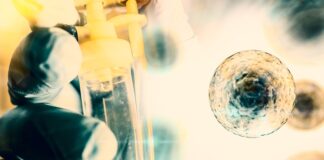 células alogénicas, Orca Bio