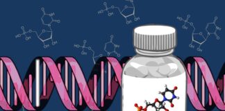 deficiencia de CAD, enfermedad metabólica, Uridina