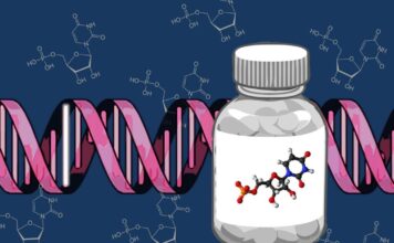 deficiencia de CAD, enfermedad metabólica, Uridina